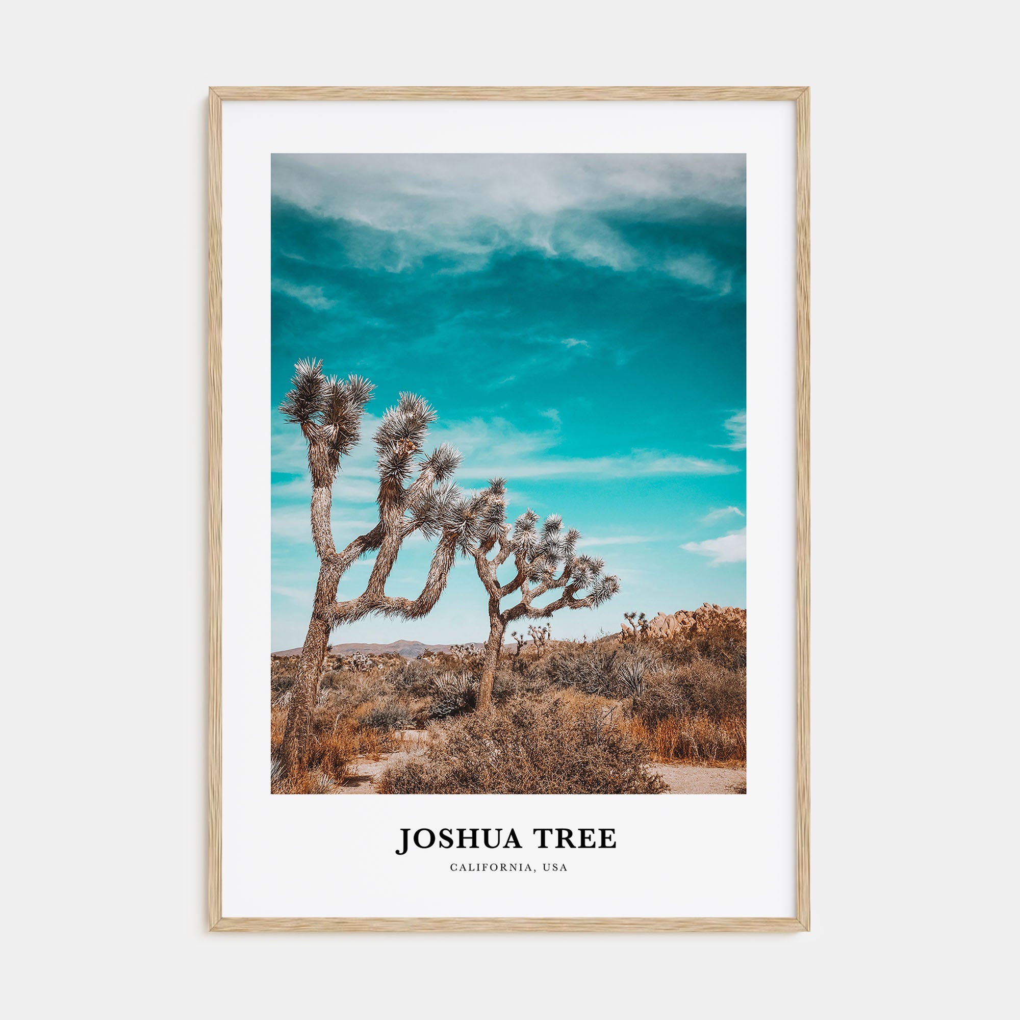 Joshua Tree National Park Portrait Color Poster