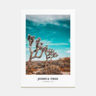 Joshua Tree National Park Portrait Color Poster