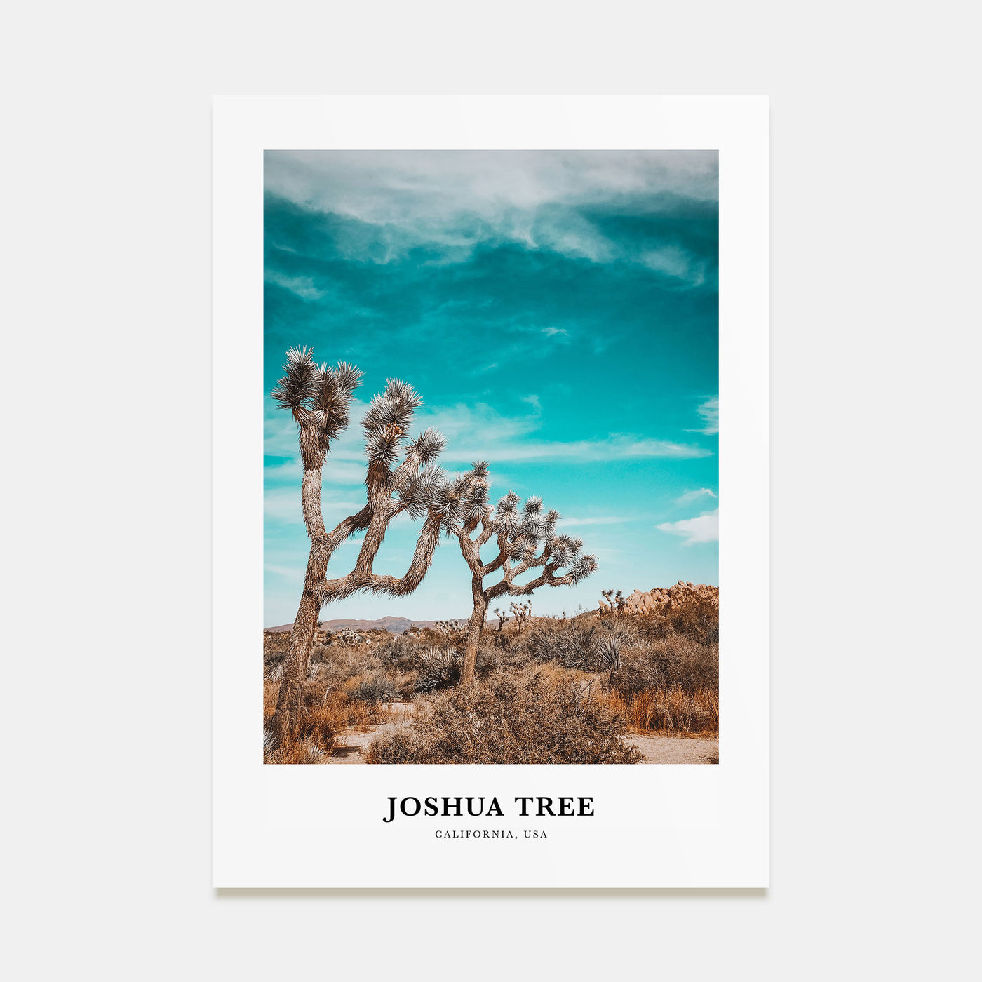 Joshua Tree National Park Portrait Color Poster