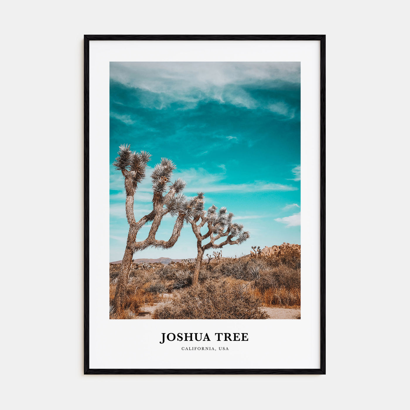 Joshua Tree National Park Portrait Color Poster
