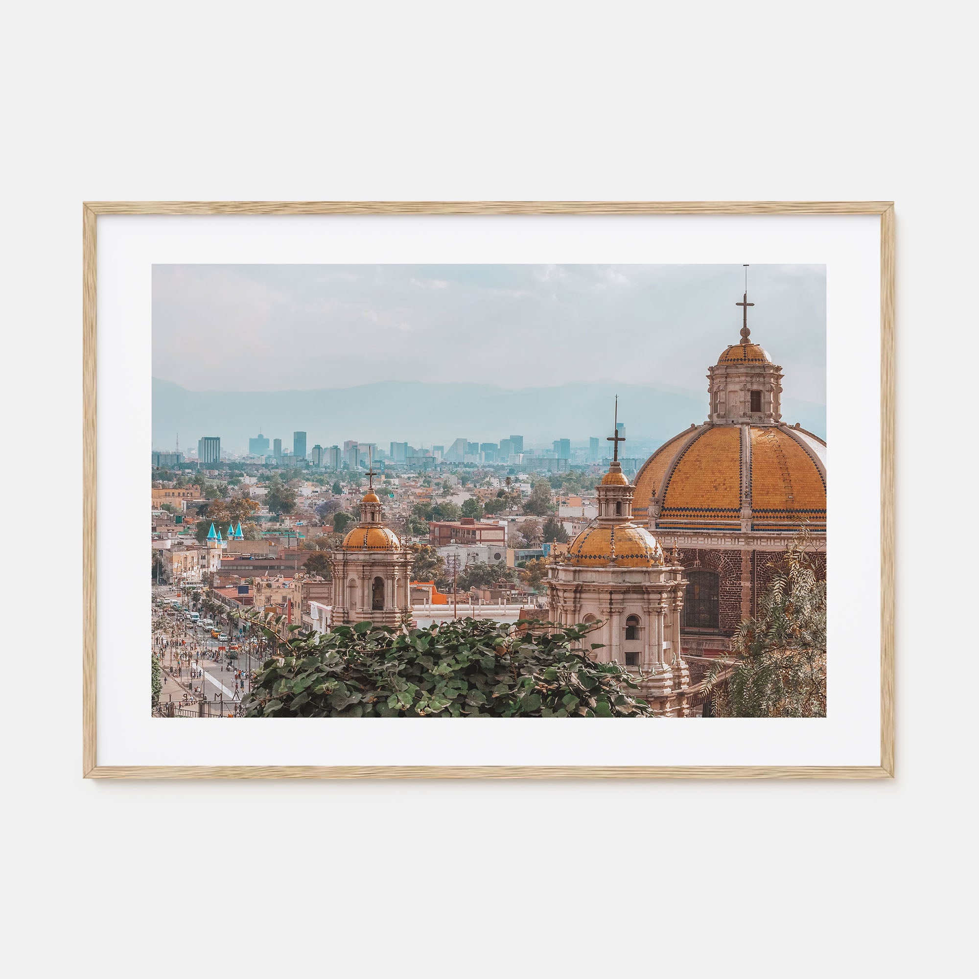 Mexico City Landscape Color Poster