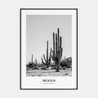 Mexico Portrait B&W No 1 Poster