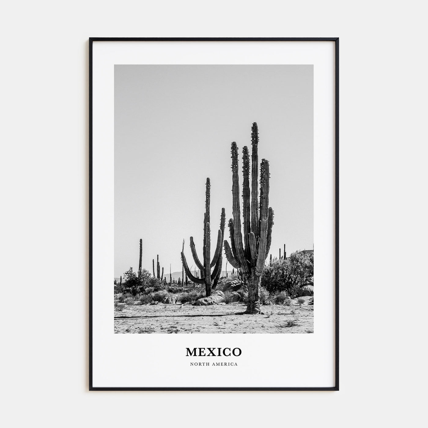 Mexico Portrait B&W No 1 Poster