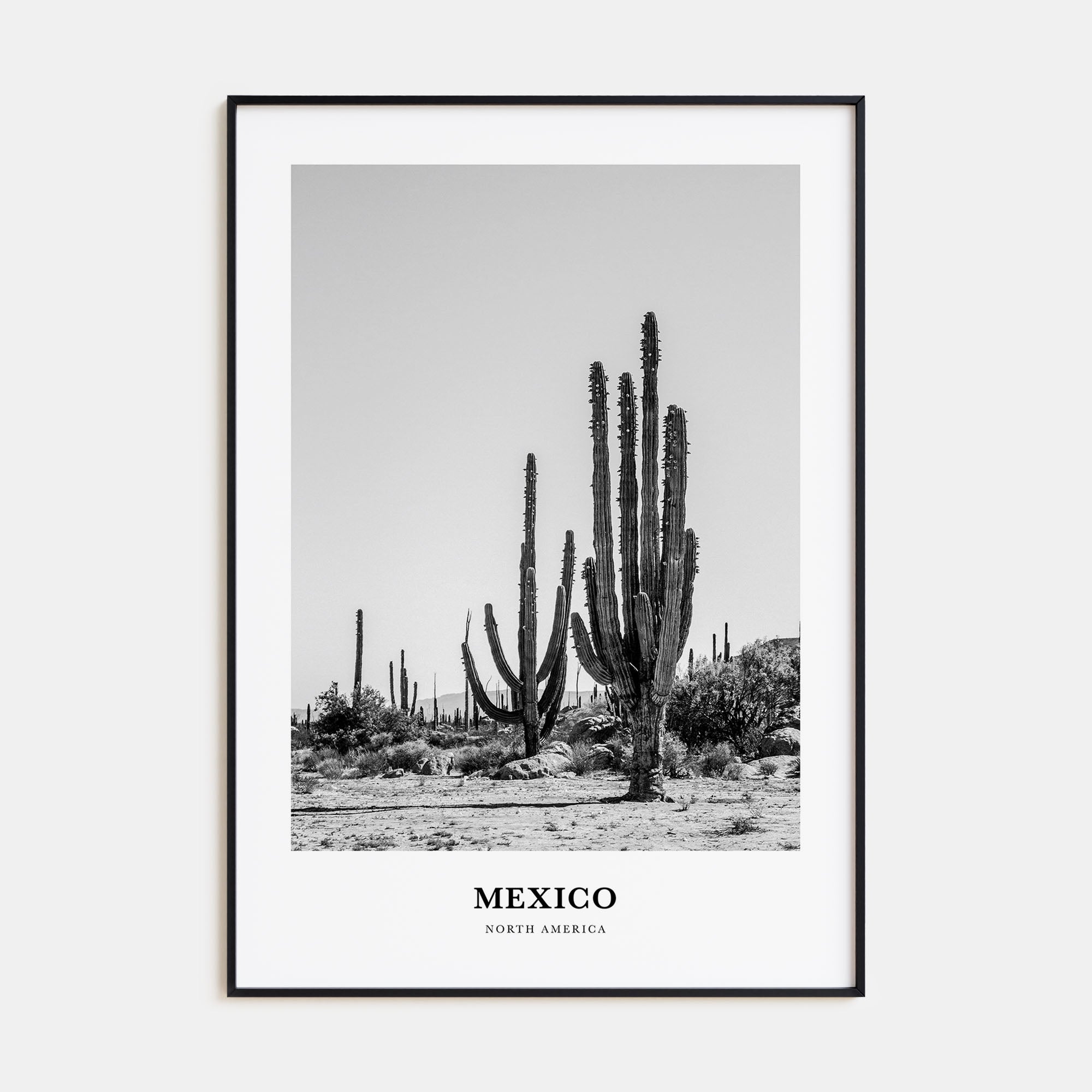 Mexico Portrait B&W No 1 Poster