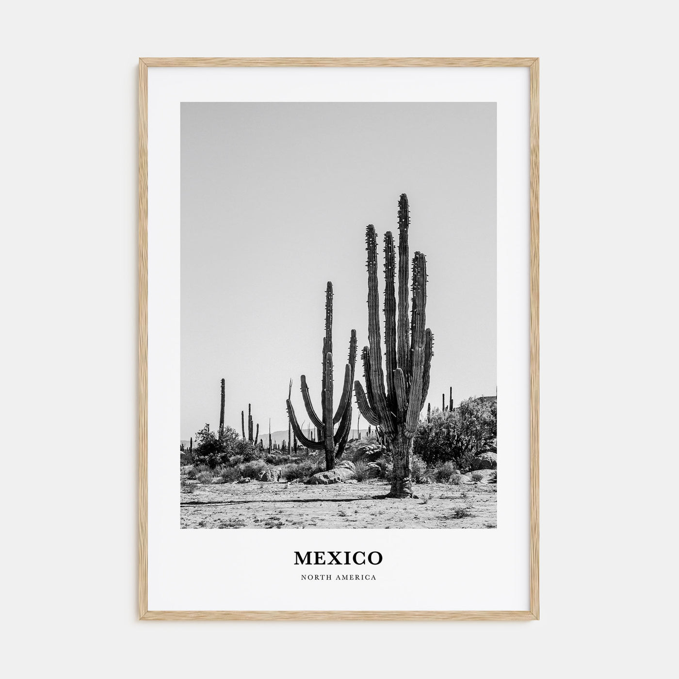 Mexico Portrait B&W No 1 Poster