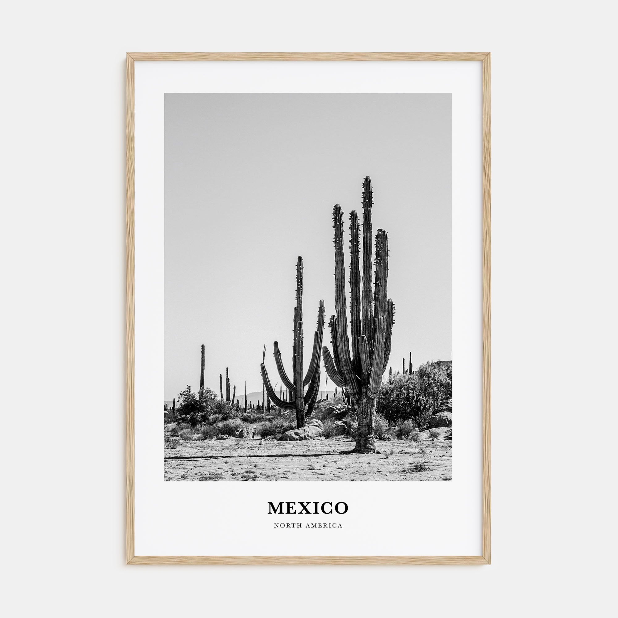 Mexico Portrait B&W No 1 Poster