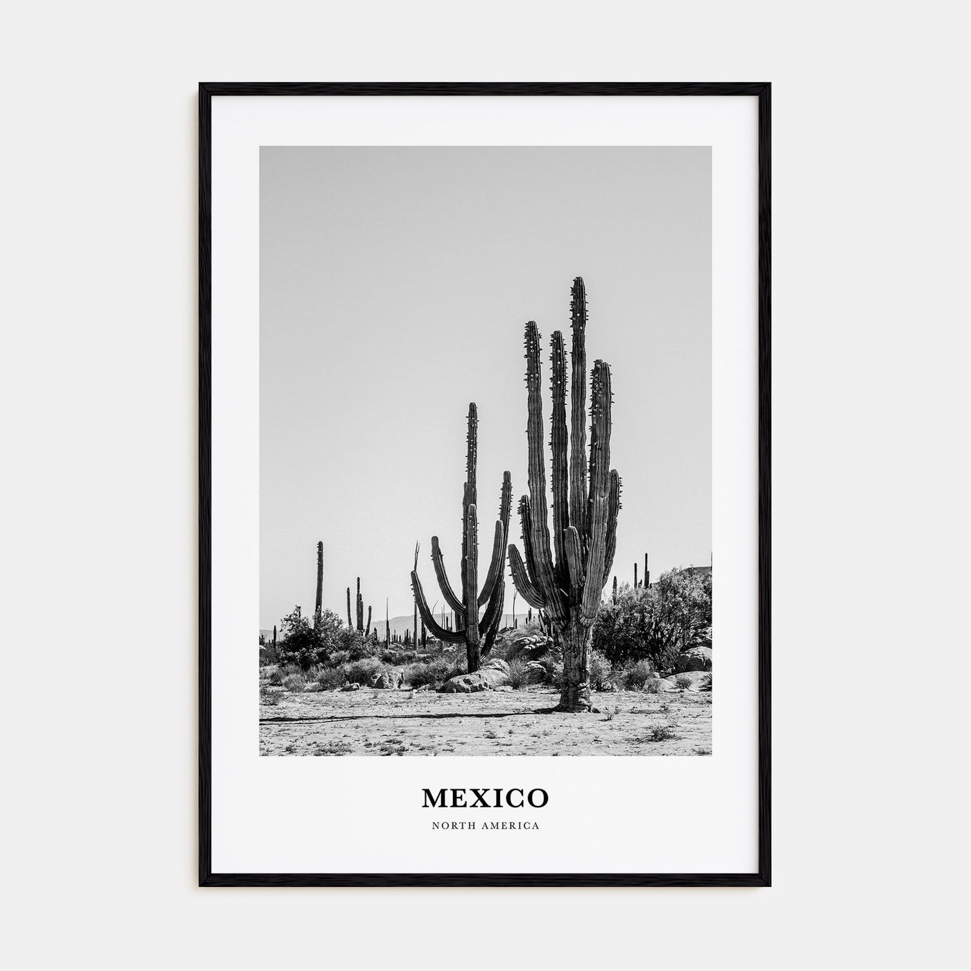 Mexico Portrait B&W No 1 Poster