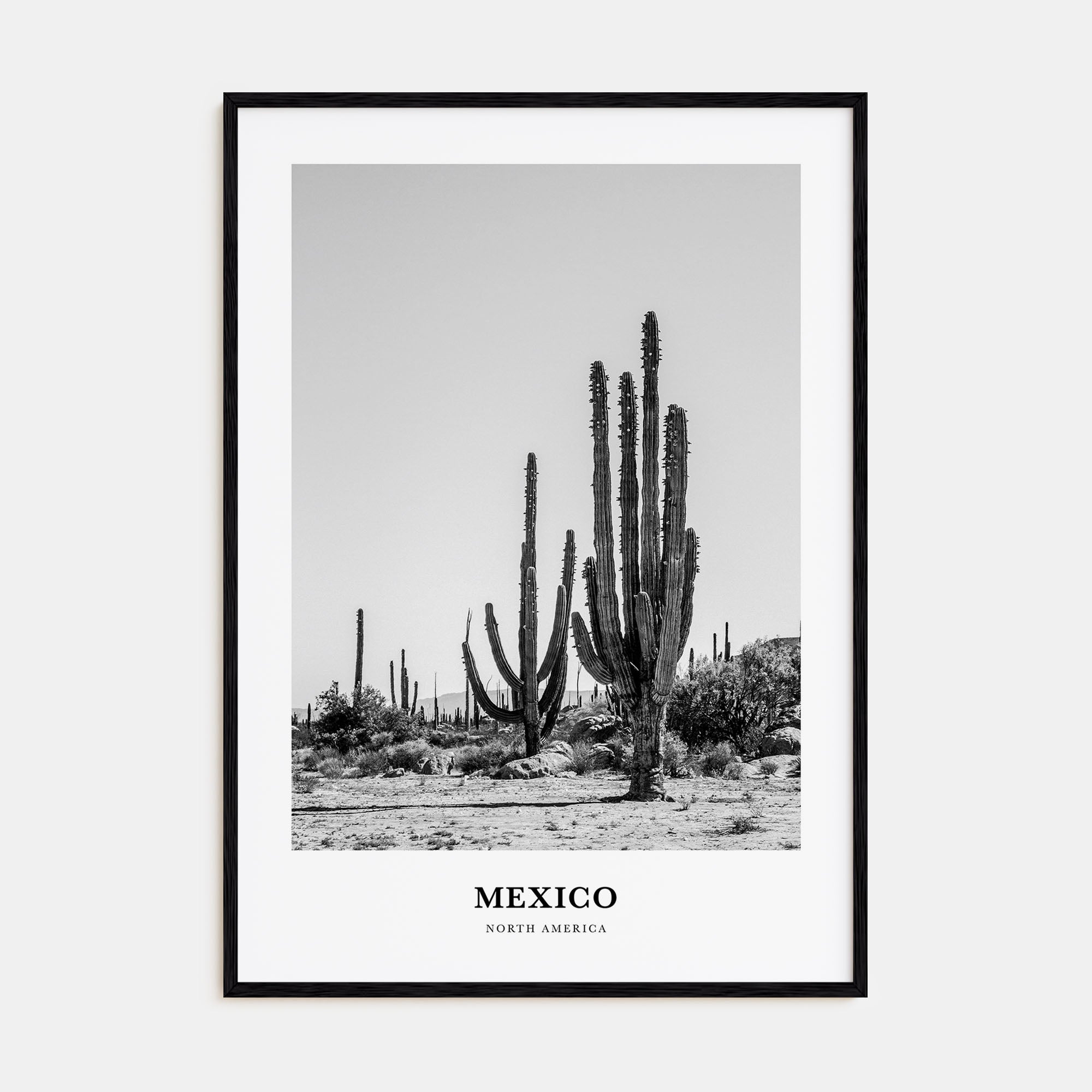 Mexico Portrait B&W No 1 Poster