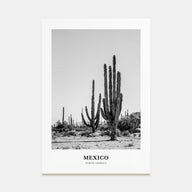 Mexico Portrait B&W No 1 Poster