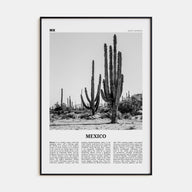 Mexico Travel B&W No 1 Poster