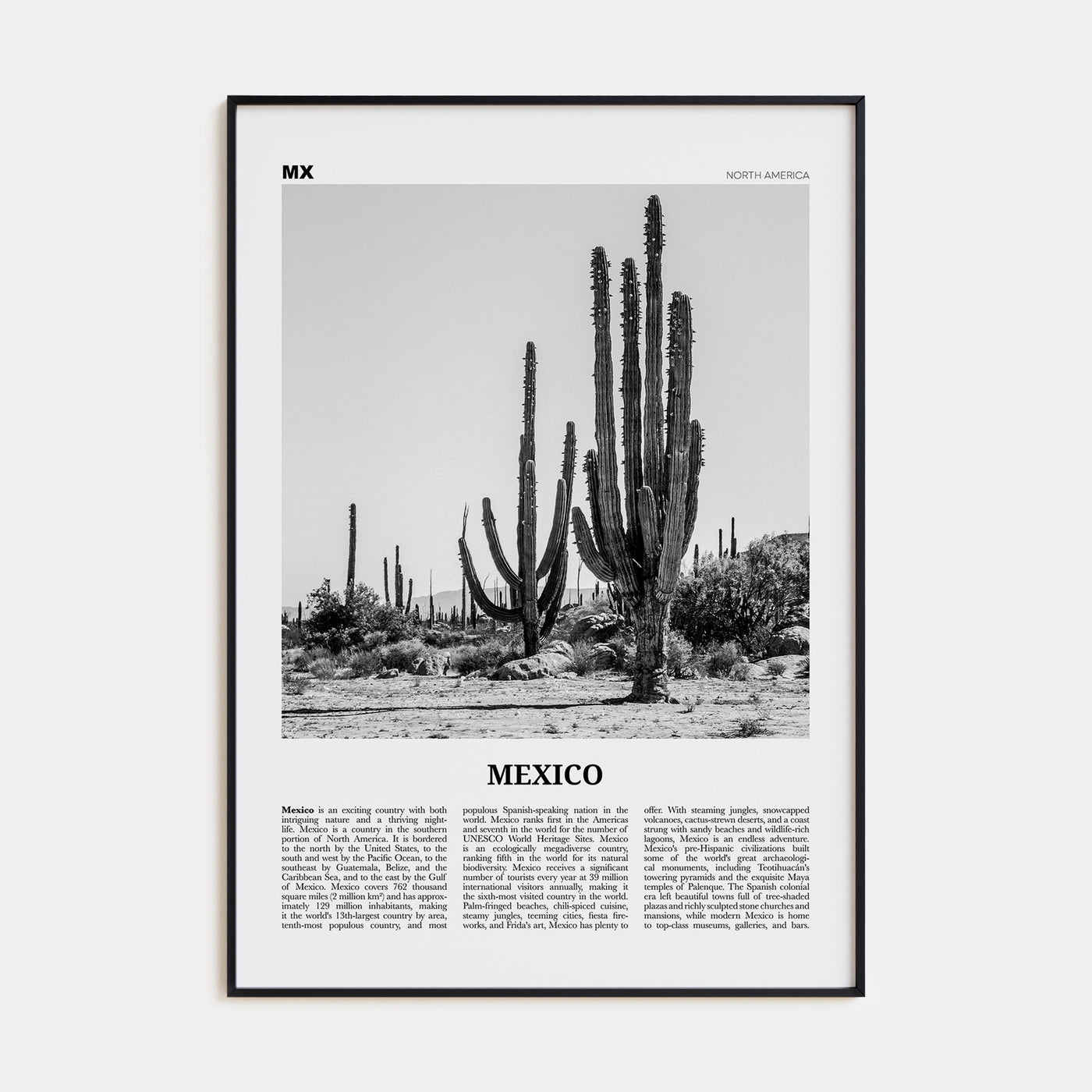 Mexico Travel B&W No 1 Poster