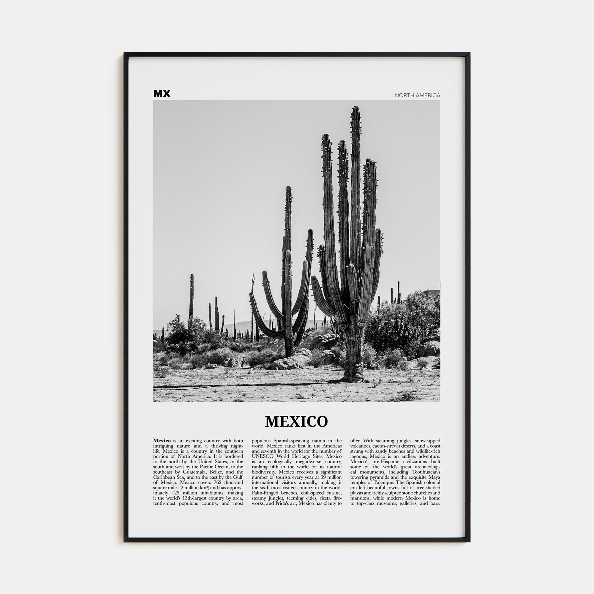 Mexico Travel B&W No 1 Poster