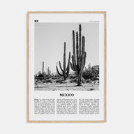Mexico Travel B&W No 1 Poster