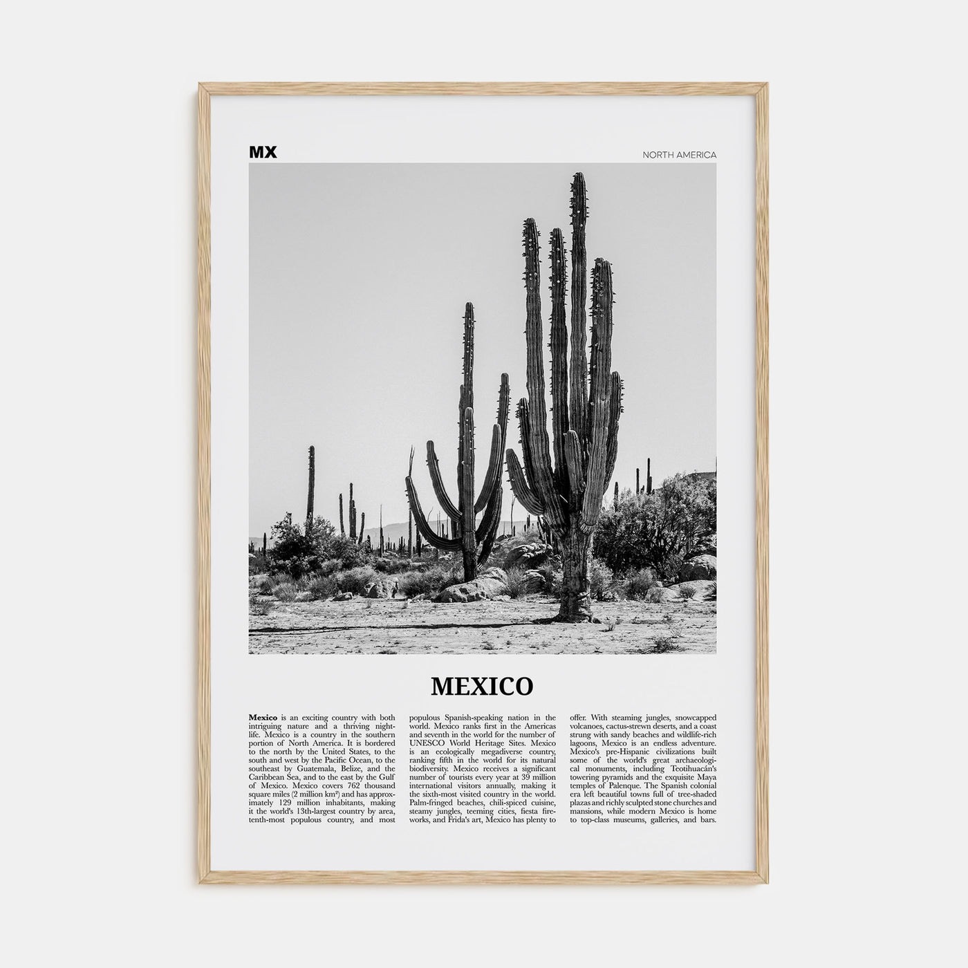 Mexico Travel B&W No 1 Poster