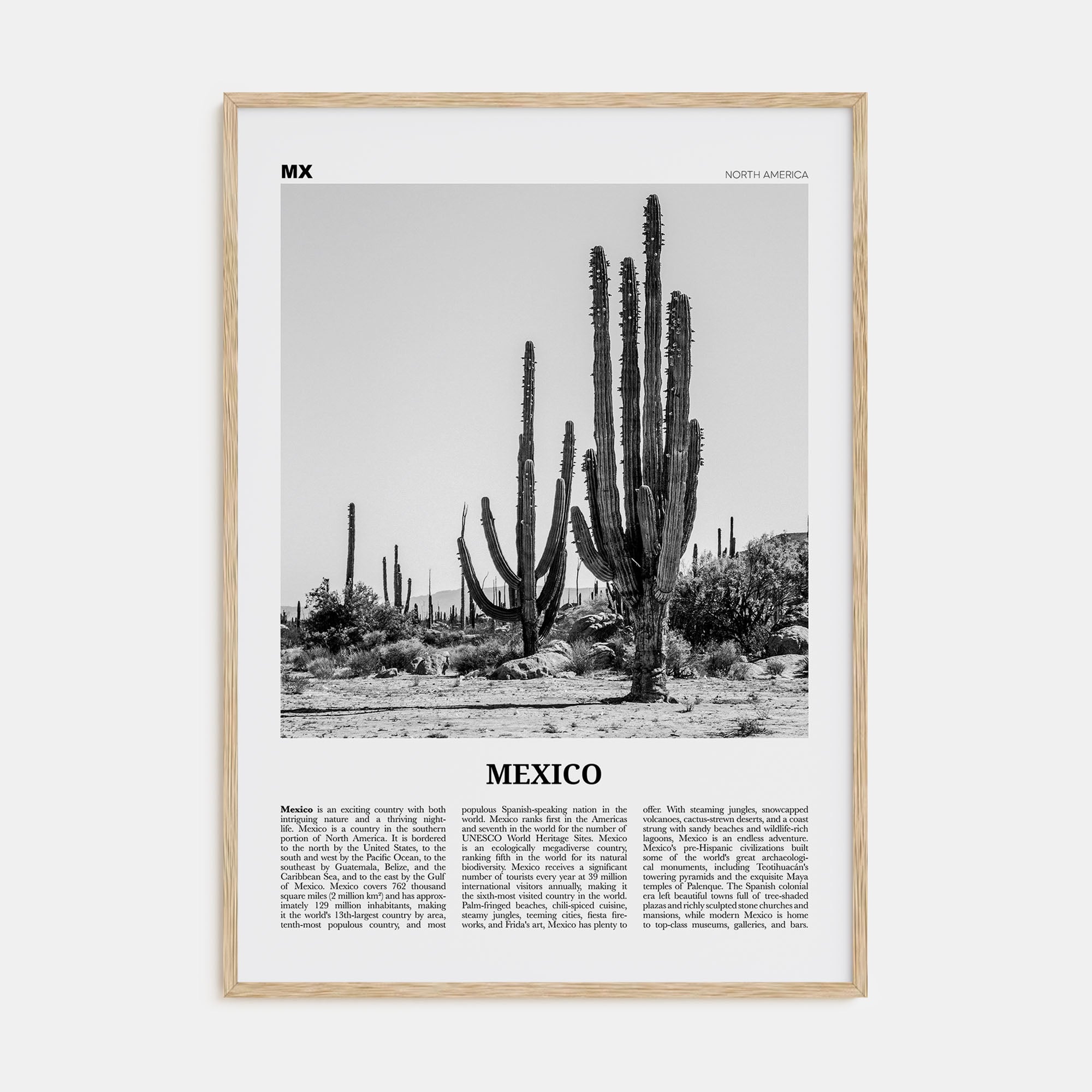 Mexico Travel B&W No 1 Poster