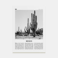 Mexico Travel B&W No 1 Poster