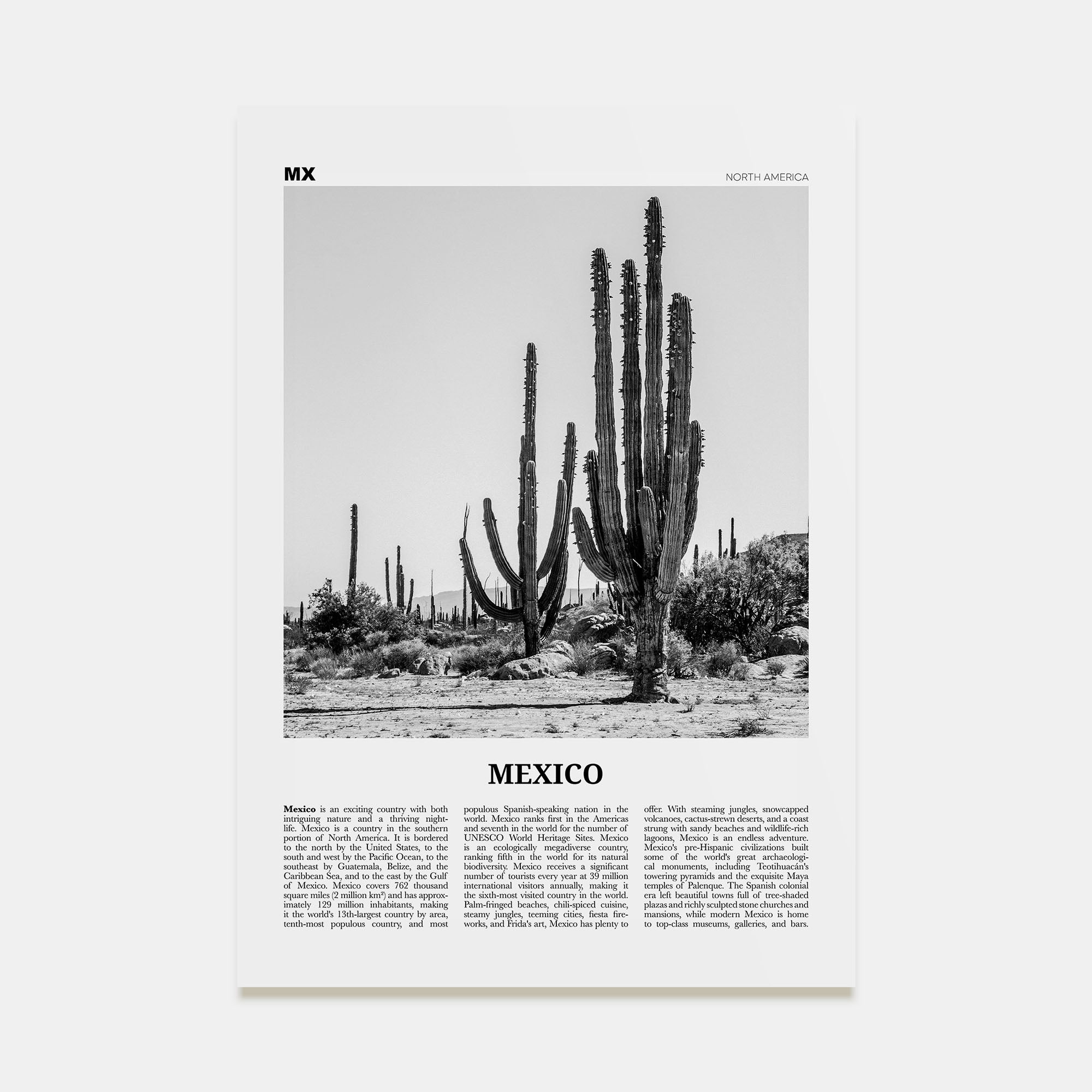 Mexico Travel B&W No 1 Poster