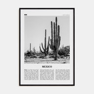 Mexico Travel B&W No 1 Poster