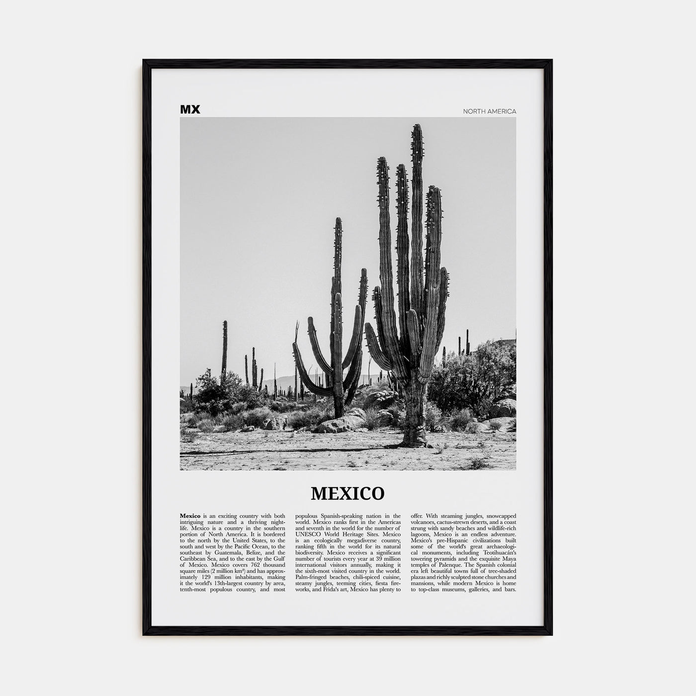 Mexico Travel B&W No 1 Poster