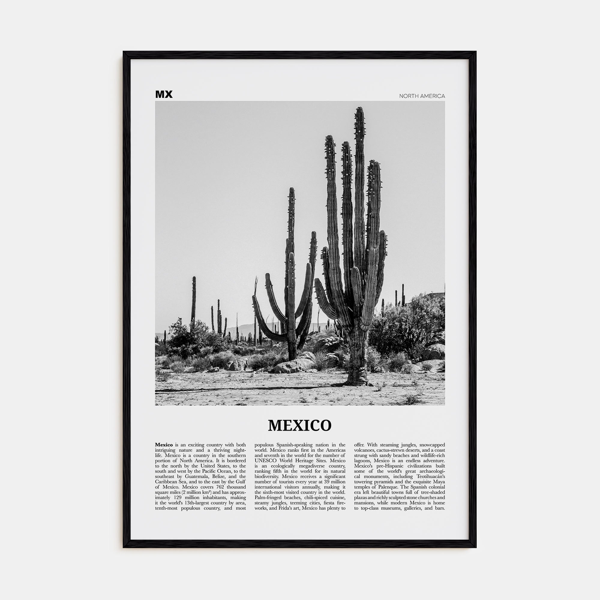 Mexico Travel B&W No 1 Poster