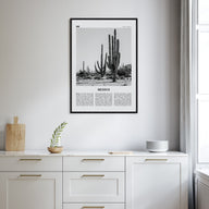 Mexico Travel B&W No 1 Poster