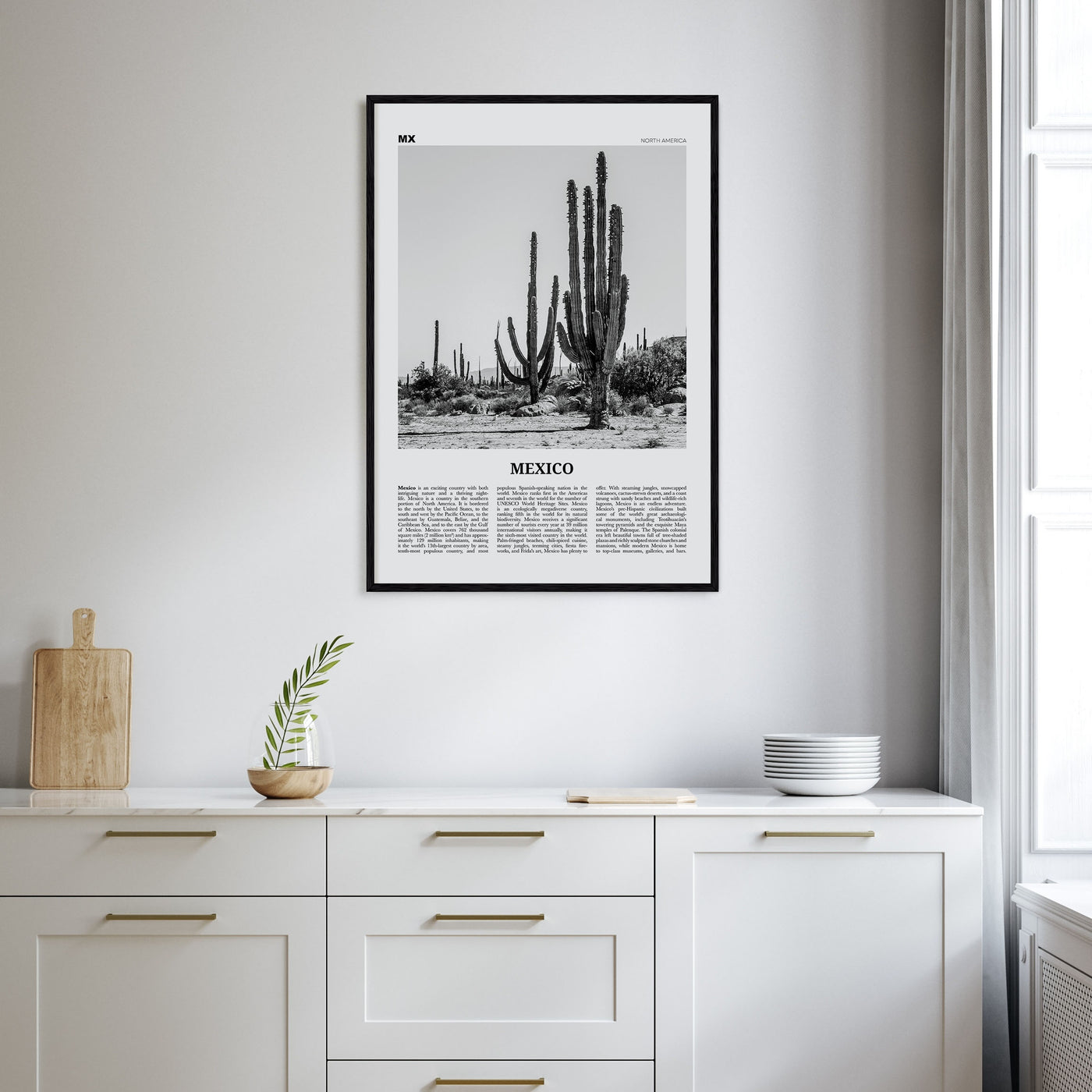Mexico Travel B&W No 1 Poster