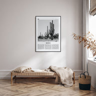 Mexico Travel B&W No 1 Poster