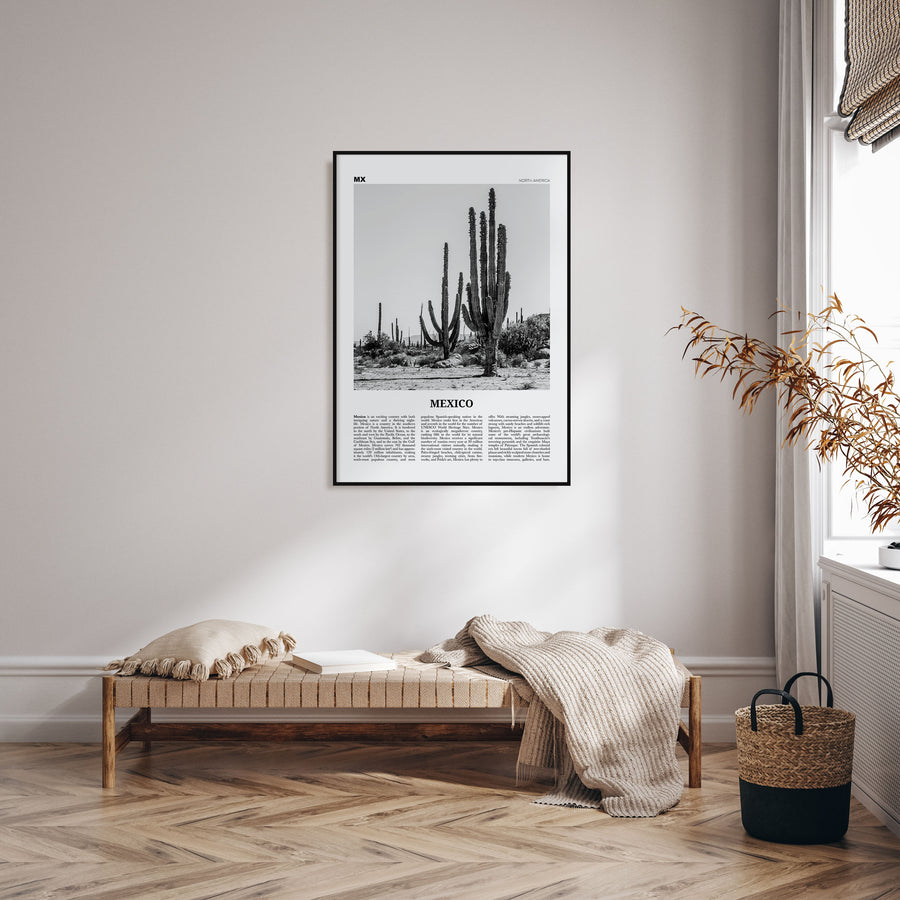 Mexico Travel B&W No 1 Poster