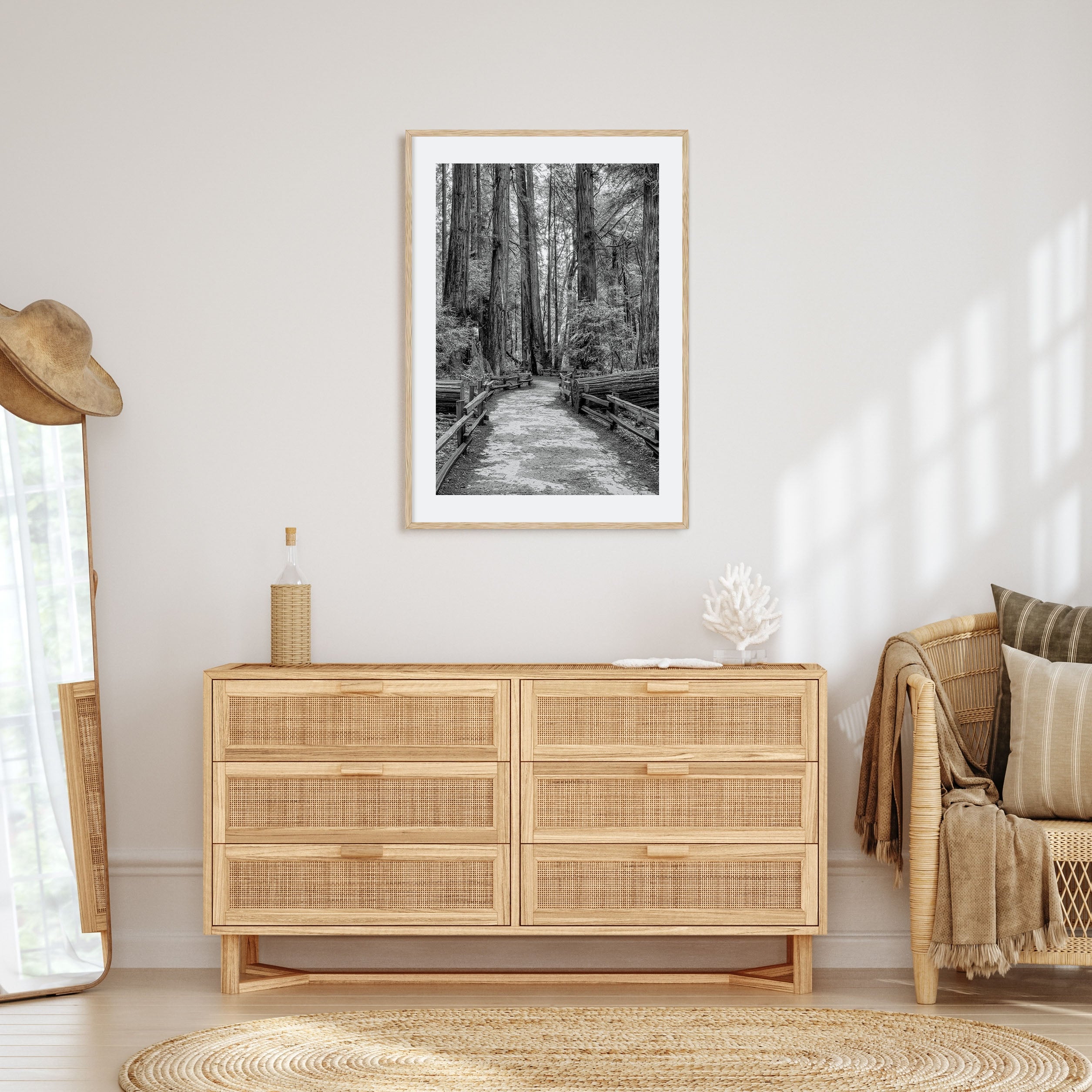 Muir Woods National Monument Photo B&W Poster