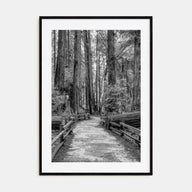 Muir Woods National Monument Photo B&W Poster