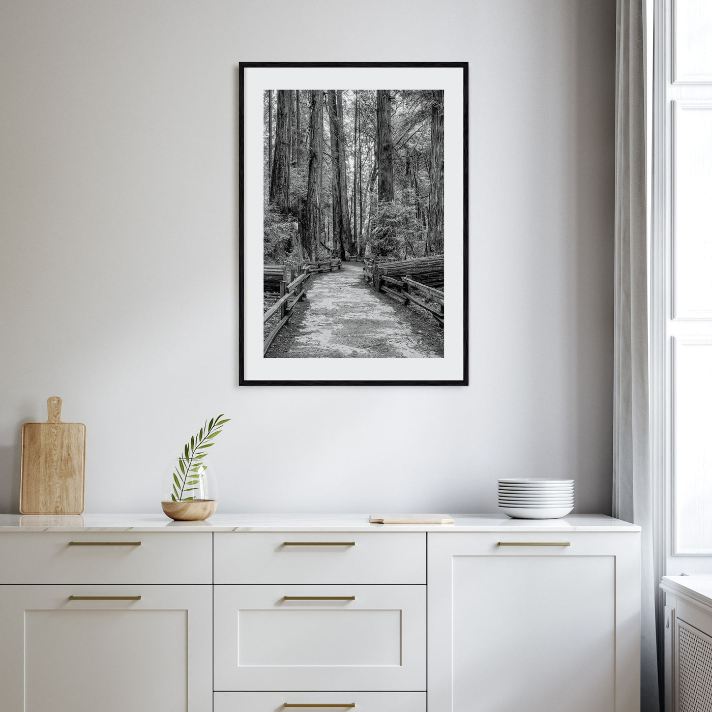 Muir Woods National Monument Photo B&W Poster