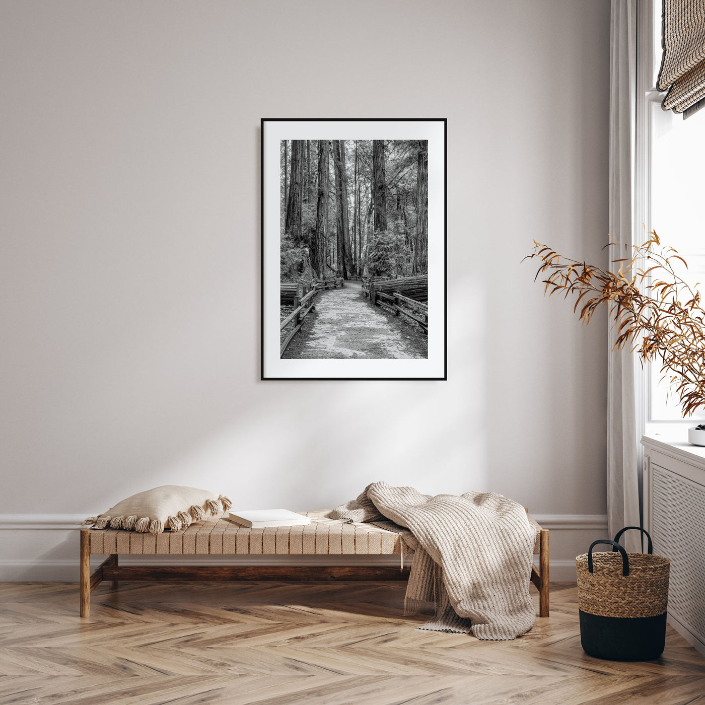 Muir Woods National Monument Photo B&W Poster