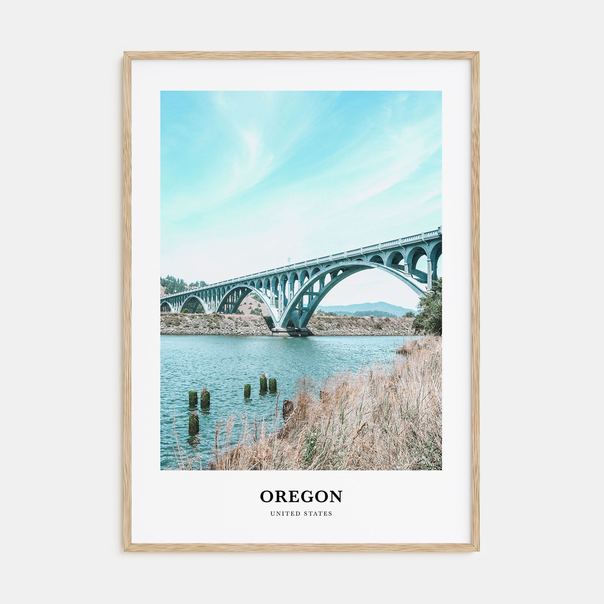 Oregon Portrait Color No 1 Poster