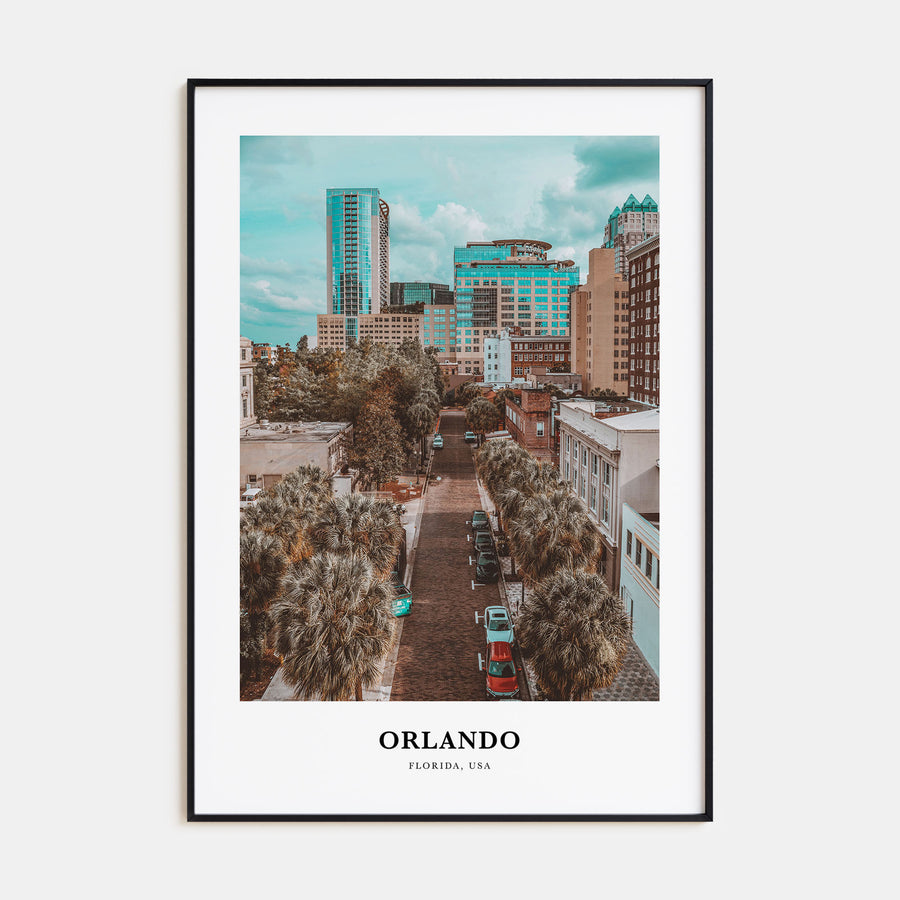 Orlando Portrait Color No 1 Poster