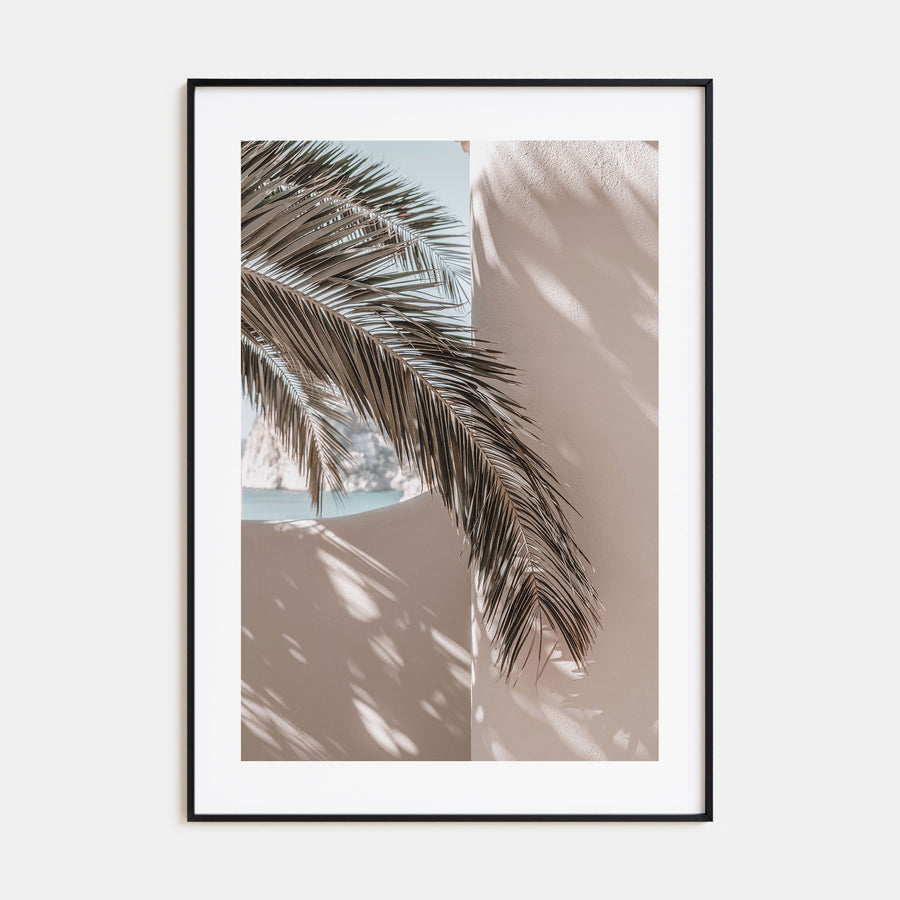 Palm Leaf Shadow Photo Color Poster