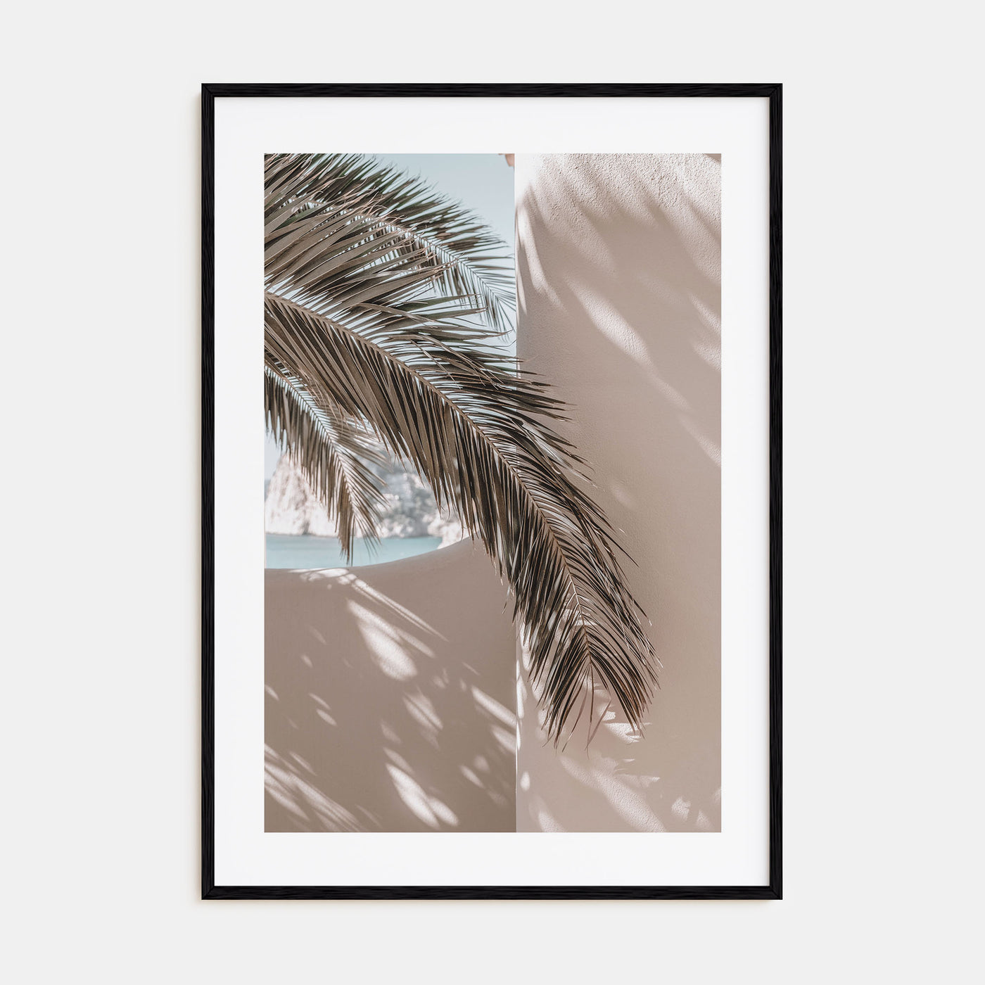 Palm Leaf Shadow Photo Color Poster
