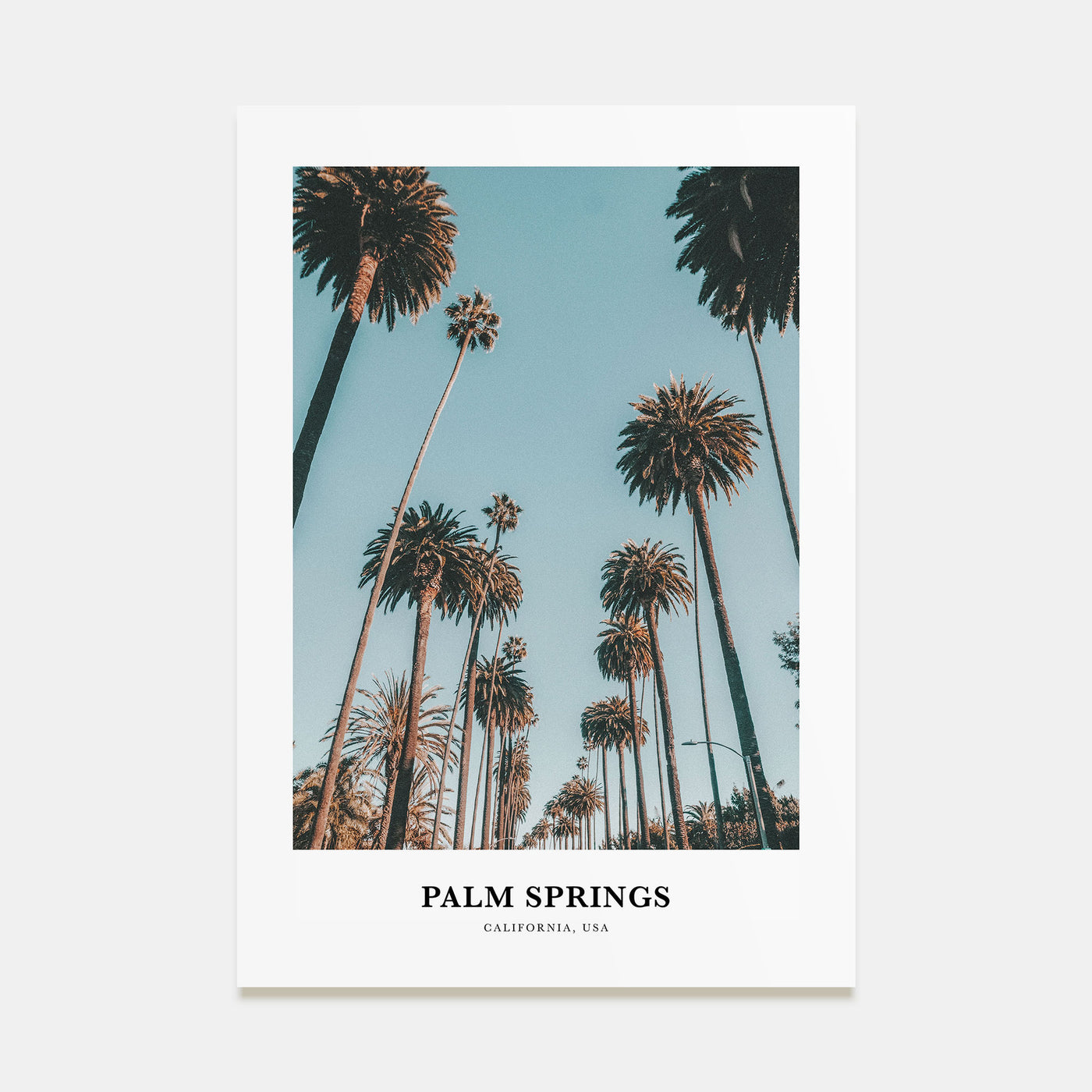 Palm Springs Portrait Color No 1 Poster