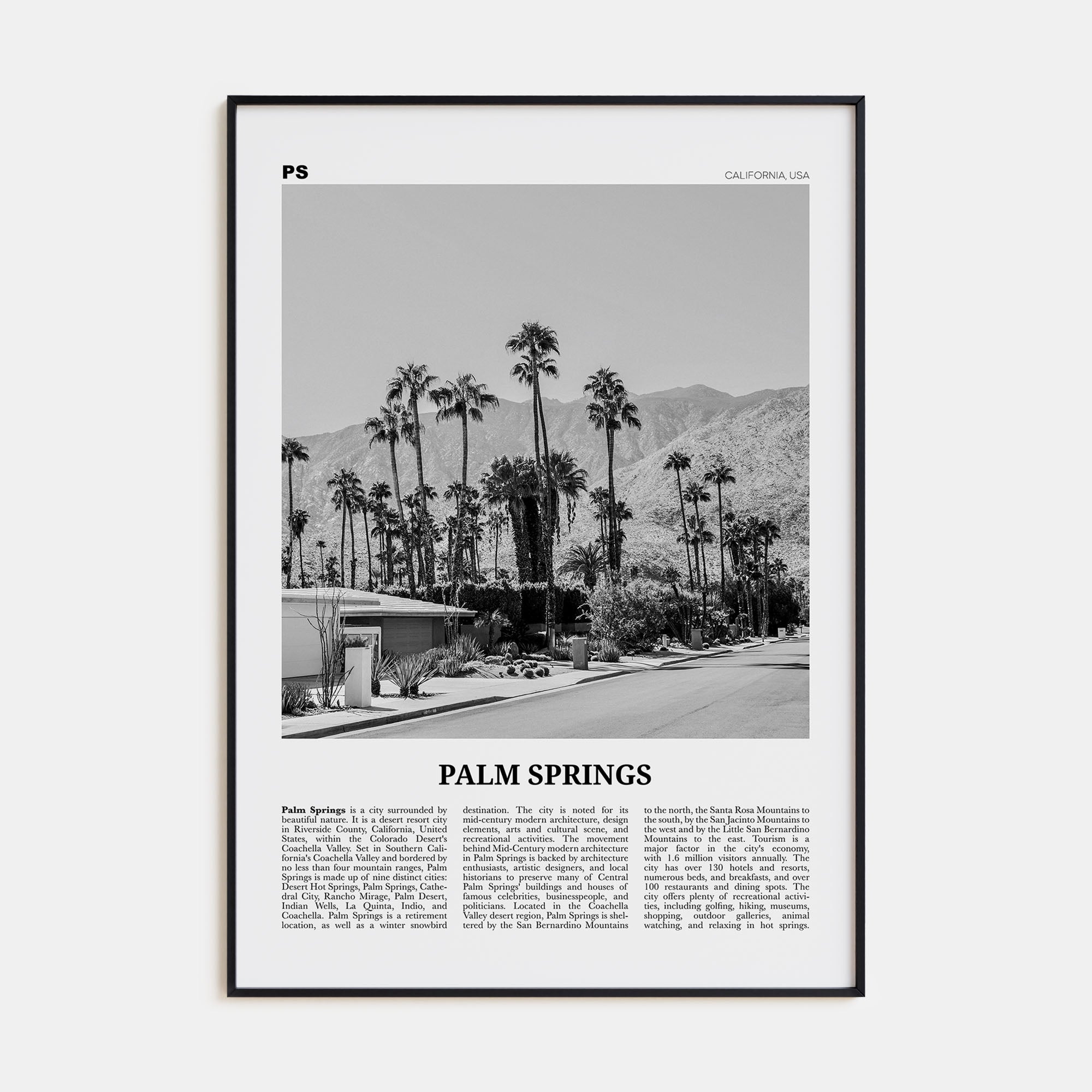 Palm Springs Travel B&W No 1 Poster