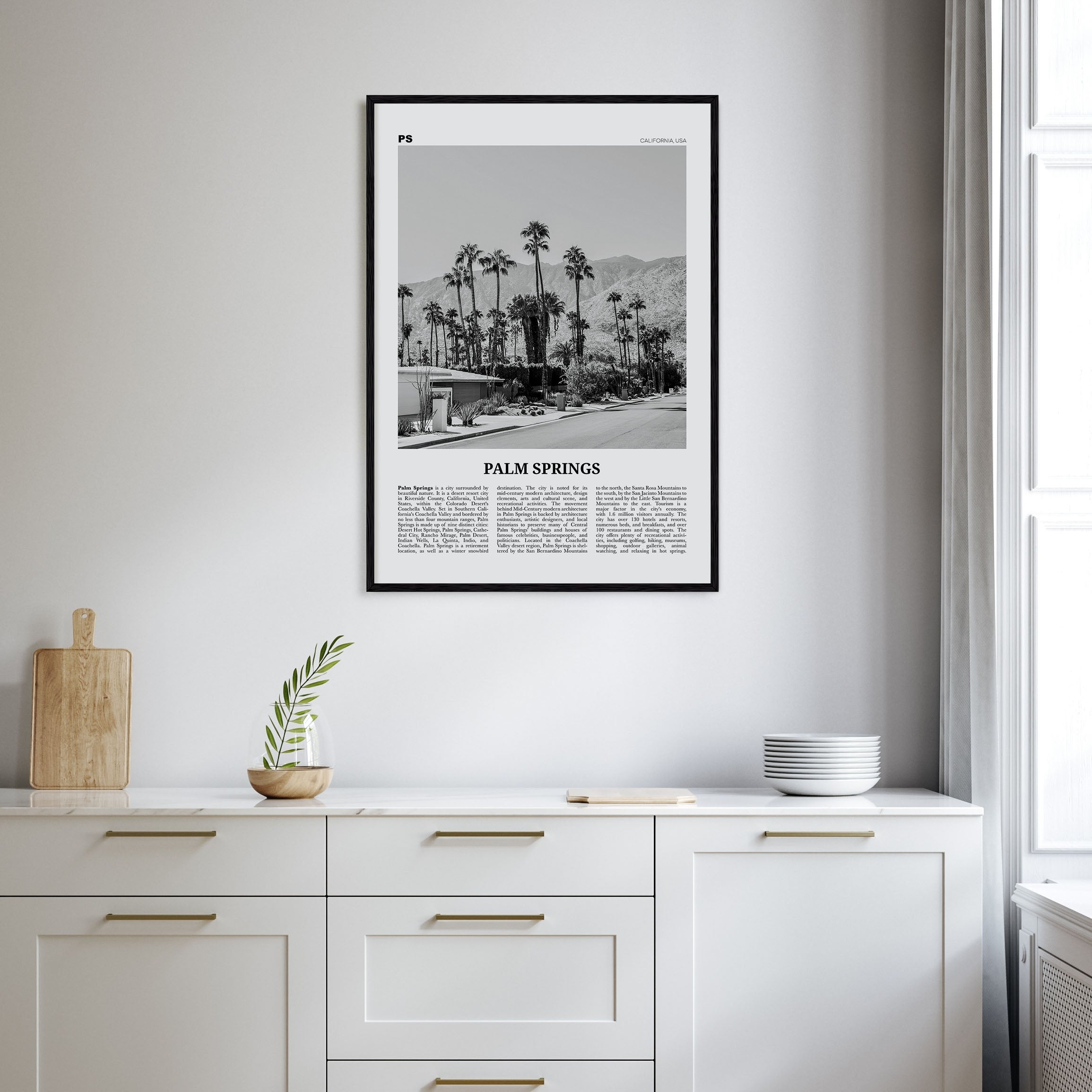 Palm Springs Travel B&W No 1 Poster