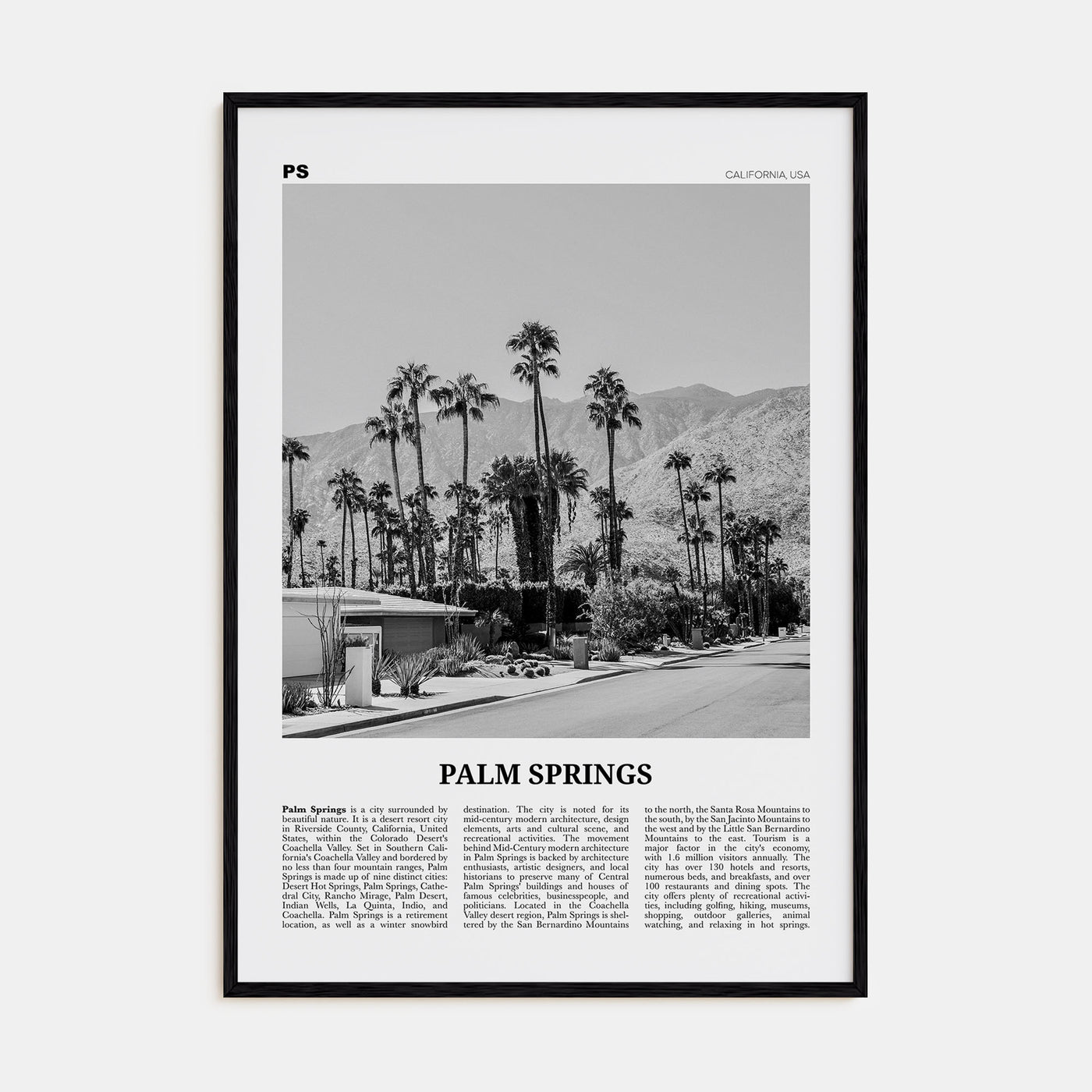Palm Springs Travel B&W No 1 Poster