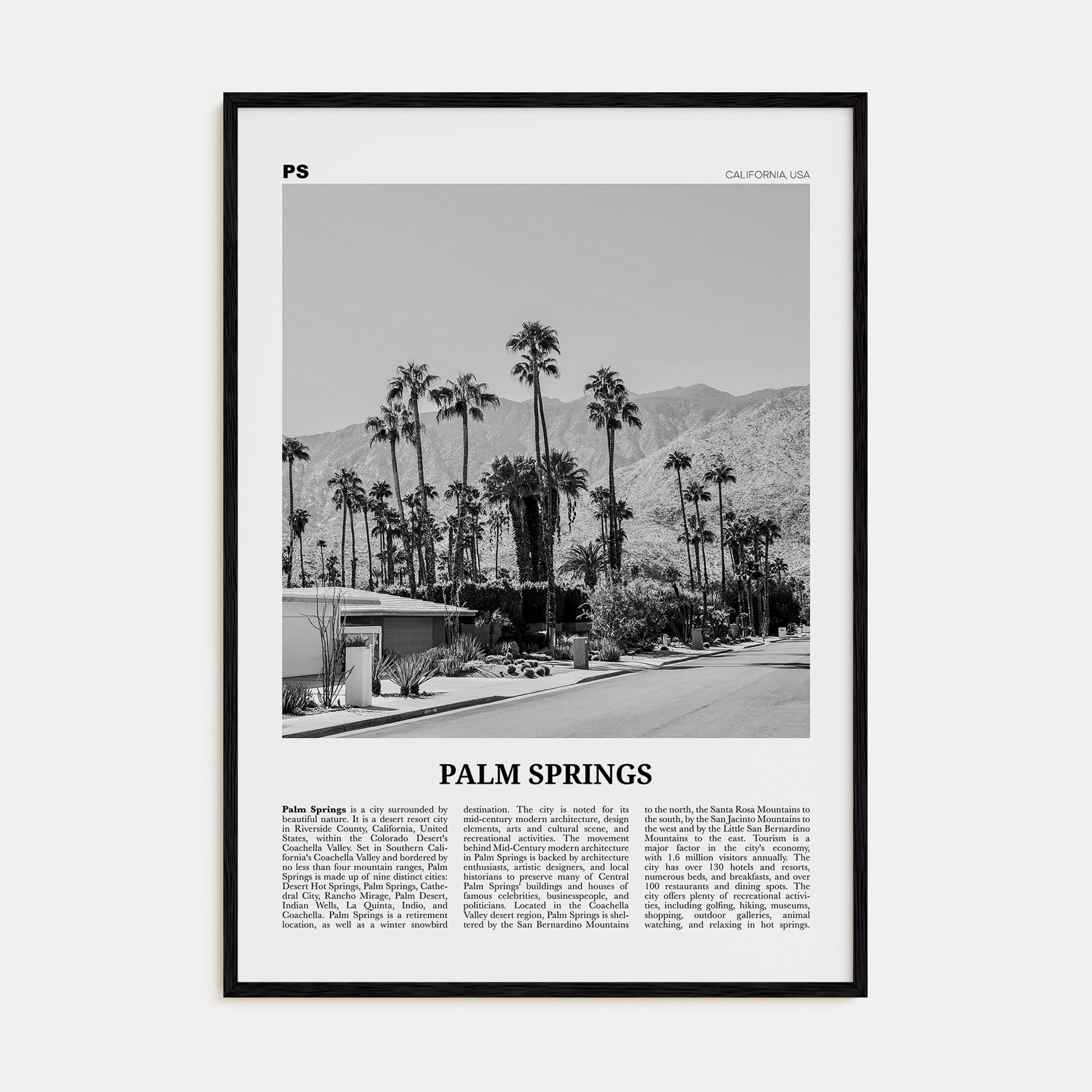 Palm Springs Travel B&W No 1 Poster