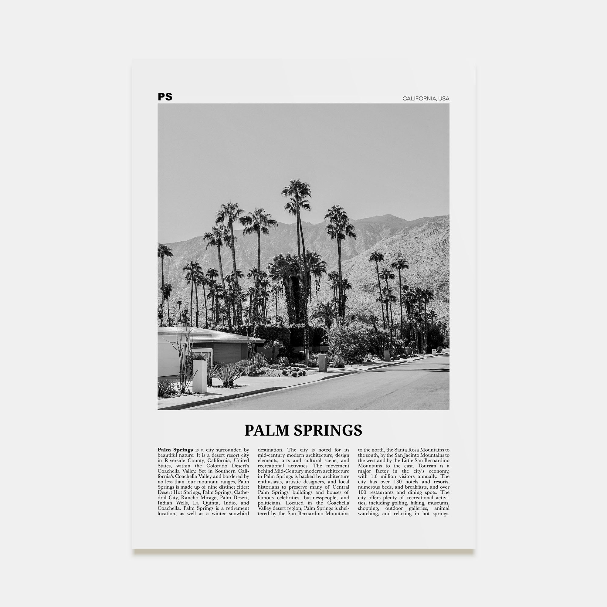 Palm Springs Travel B&W No 1 Poster