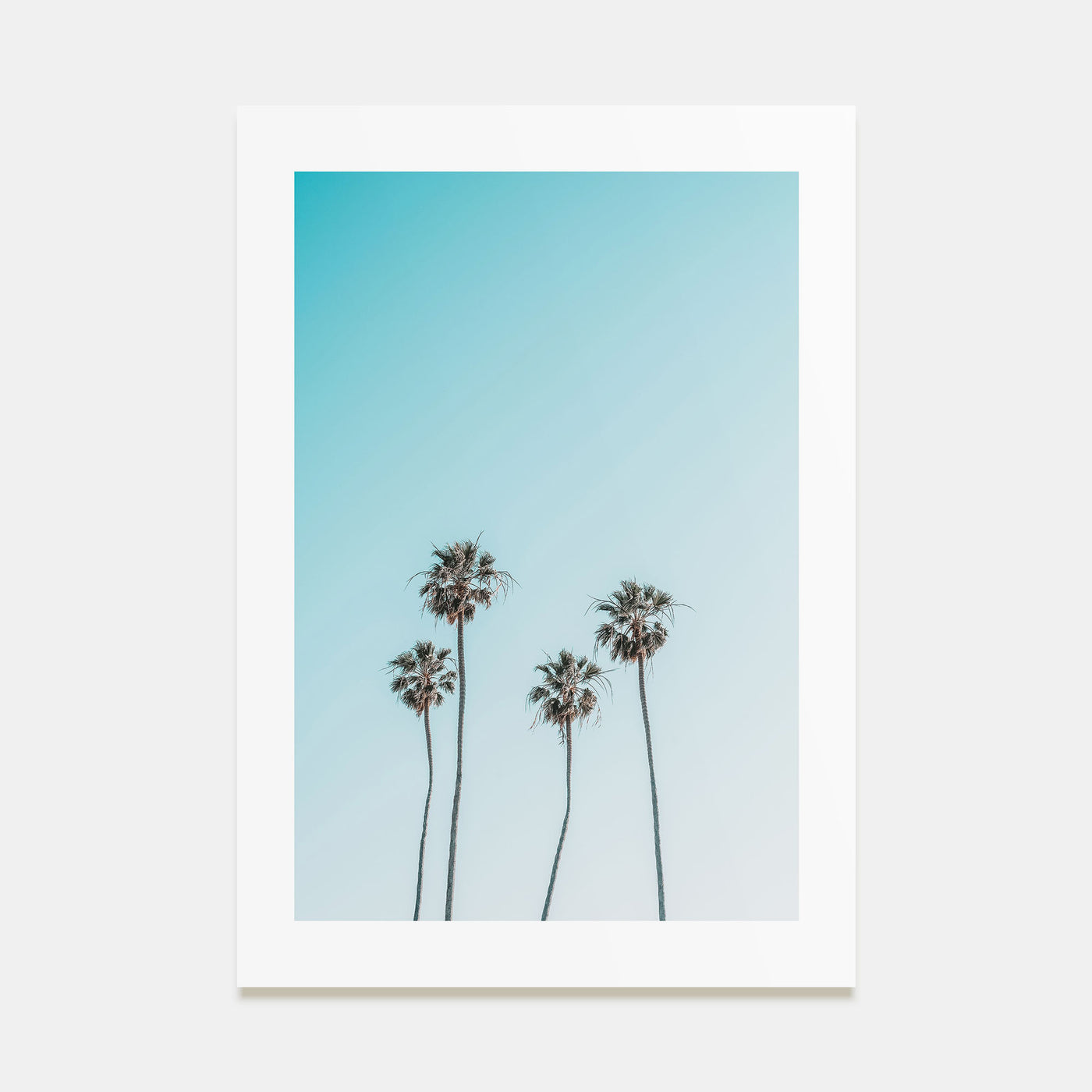 Palm Trees Photo Color No 7 Poster