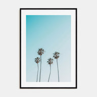 Palm Trees Photo Color No 7 Poster