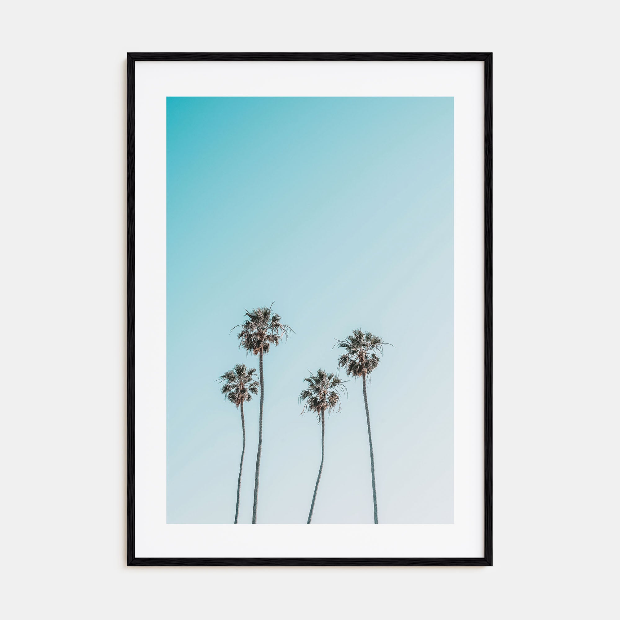 Palm Trees Photo Color No 7 Poster