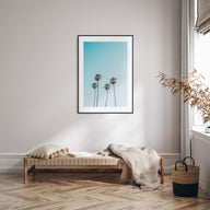 Palm Trees Photo Color No 7 Poster