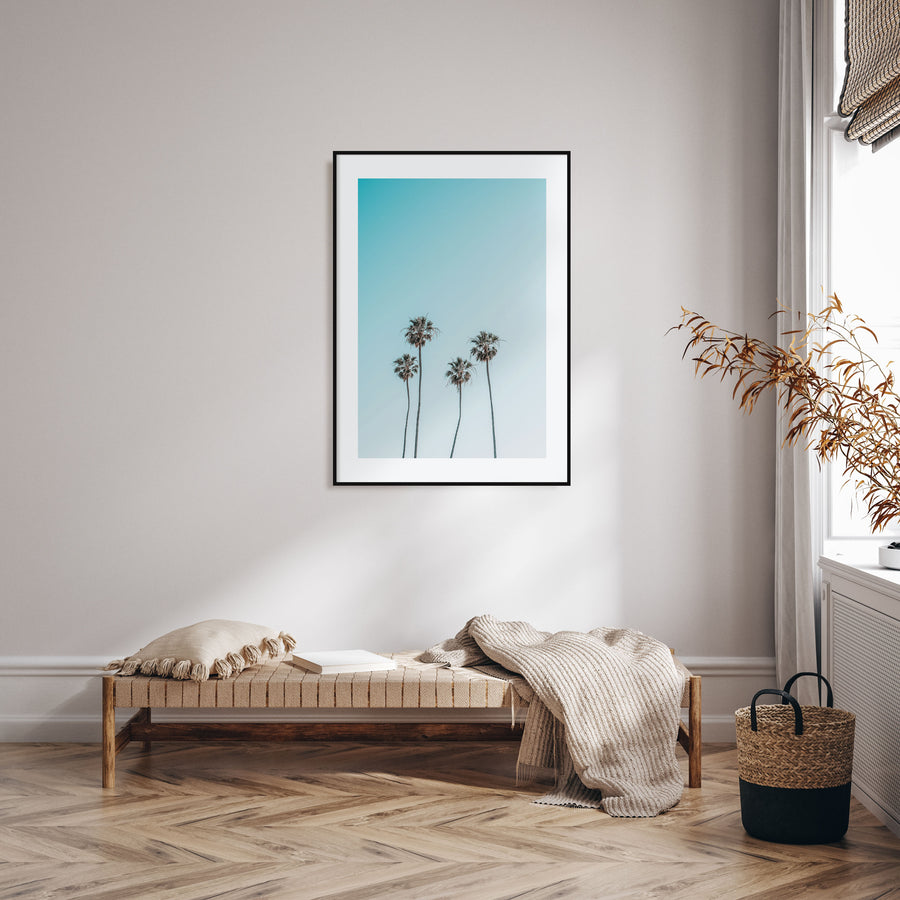 Palm Trees Photo Color No 7 Poster