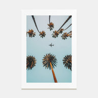 Palm Trees, Sky and Aircraft Photo Color Poster