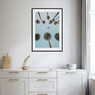 Palm Trees, Sky and Aircraft Photo Color Poster
