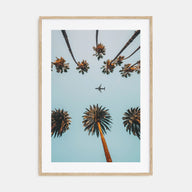 Palm Trees, Sky and Aircraft Photo Color Poster